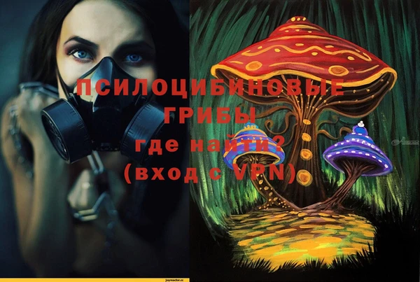 дурь Алексин