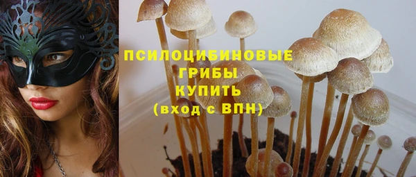 эйфоретик Алексеевка