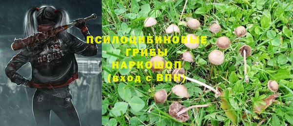 эйфоретик Алексеевка