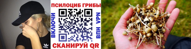 Галлюциногенные грибы прущие грибы  Омск 